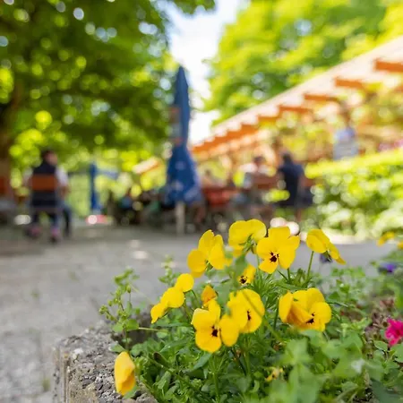Zur Triftsperre Pensjonat
