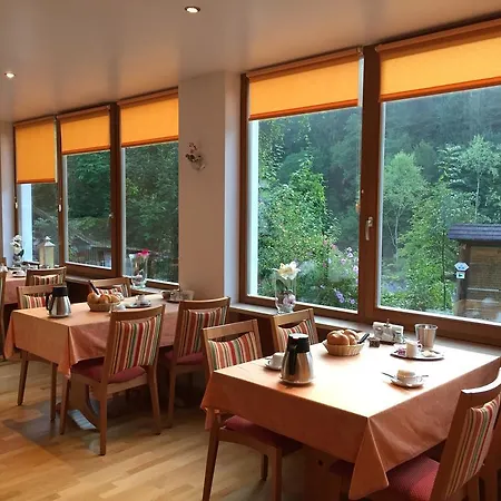 Pensjonat Zur Triftsperre Pasawa