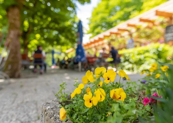 Zur Triftsperre Penzion