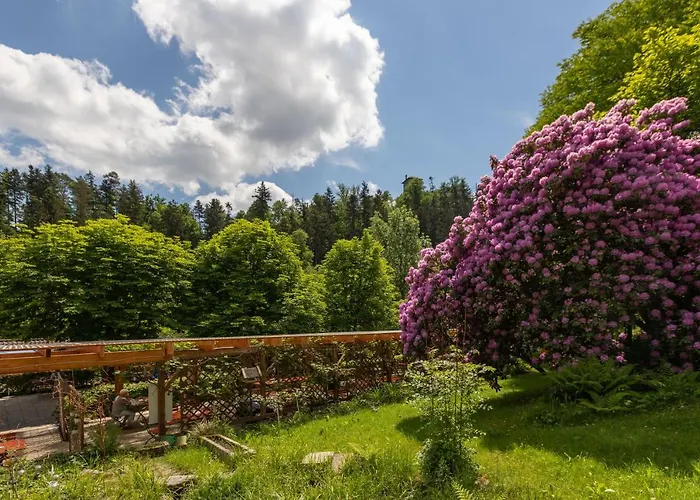 Zur Triftsperre Passavia