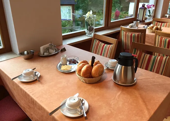 招待所 祖尔特里福特斯皮尔酒店 帕绍